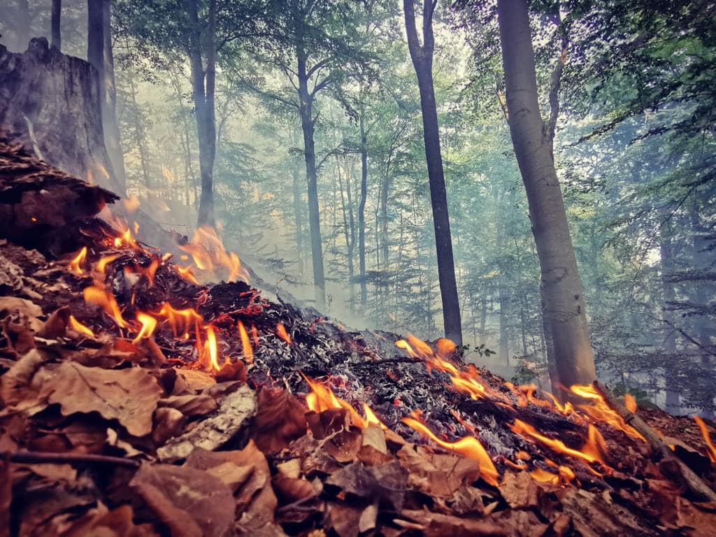06 - Lokalizácia požiaru lesného porastu v k.o. Malá Lodina, okres Košice-okolie